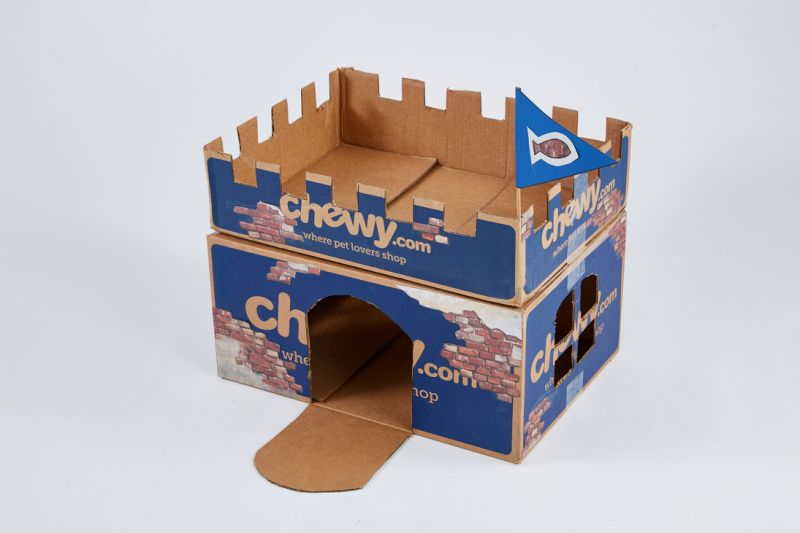 Castle cut out of Chewy.com delivery boxes.