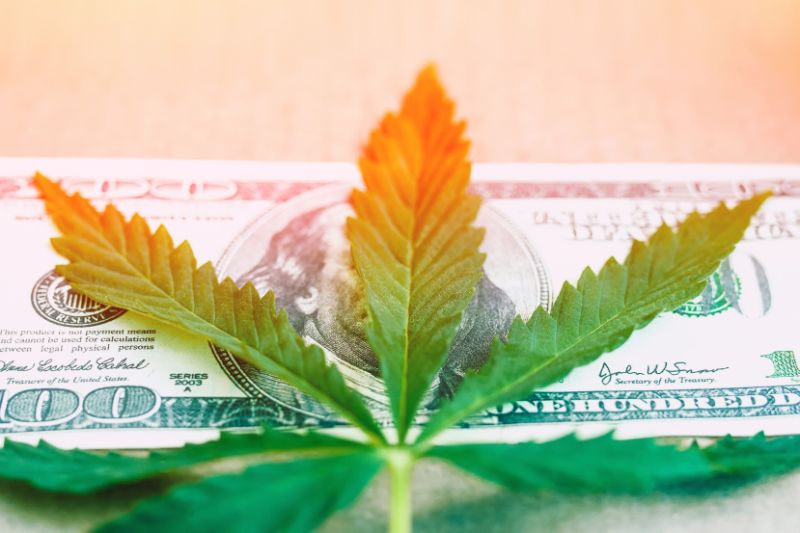 A cannabis leaf on top of a U.S. hundred dollar bill