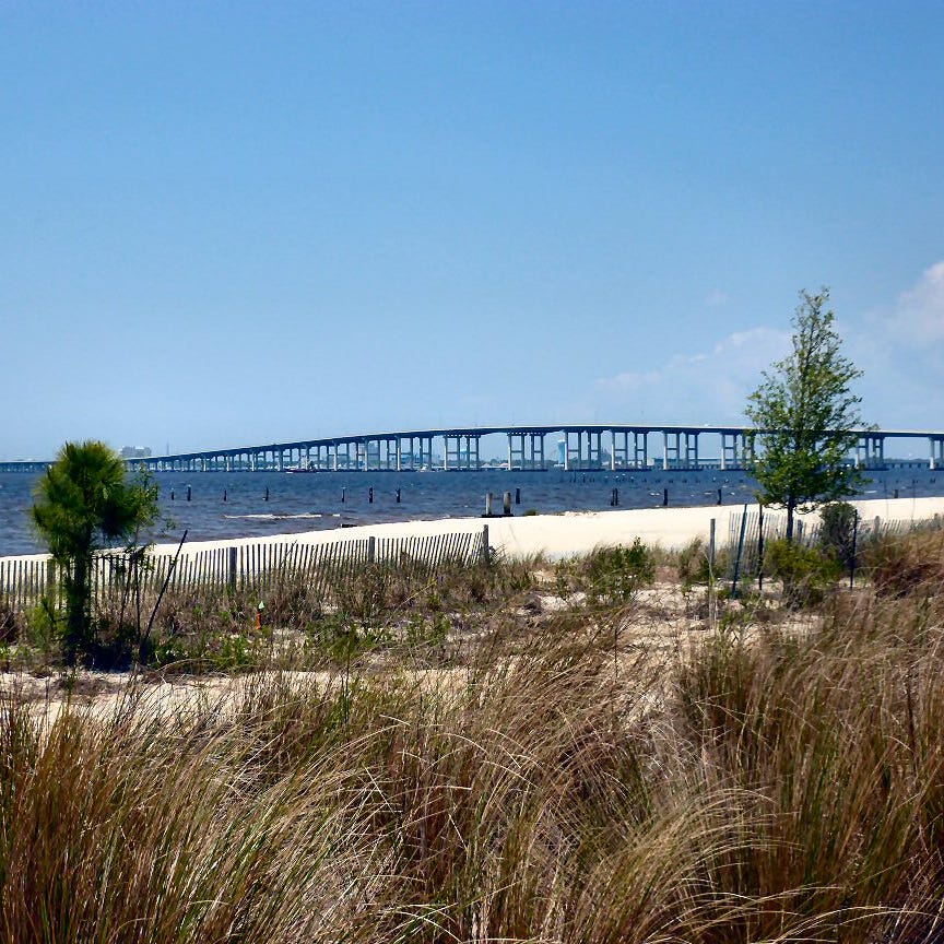 4 more Mississippi beaches closed due to toxic algae bloom