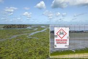 france holidays danger green algae brittany beach travel warning