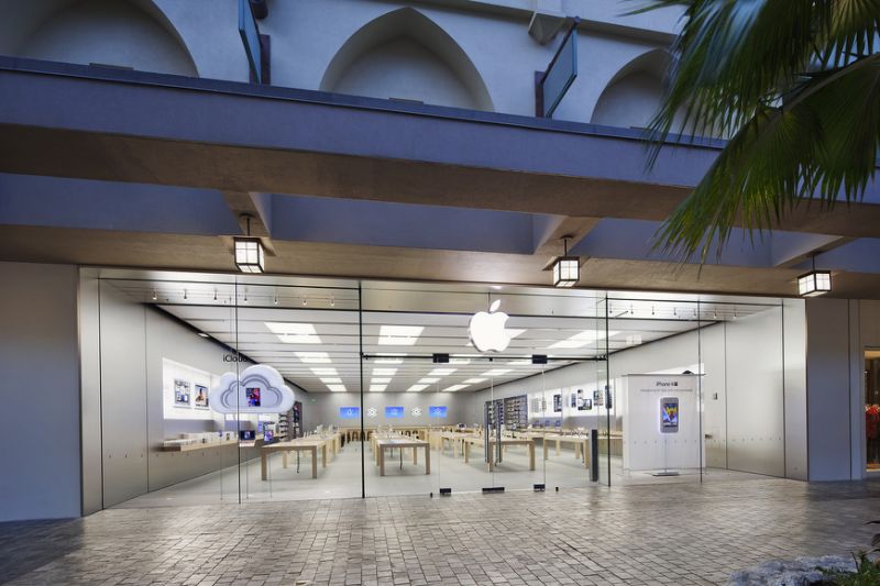 Apple Store location as seen from outside, with a palm tree nearby.