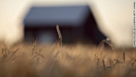 Regulator tells CNN Business the trade war is hurting banks in America&#39;s farm states