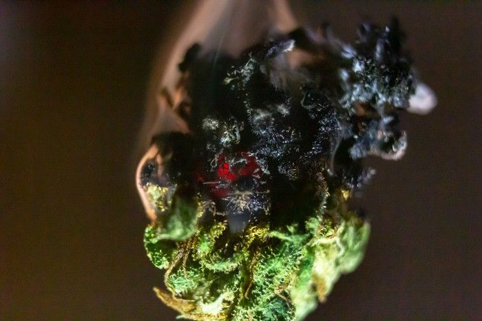 A burning marijuana bud.