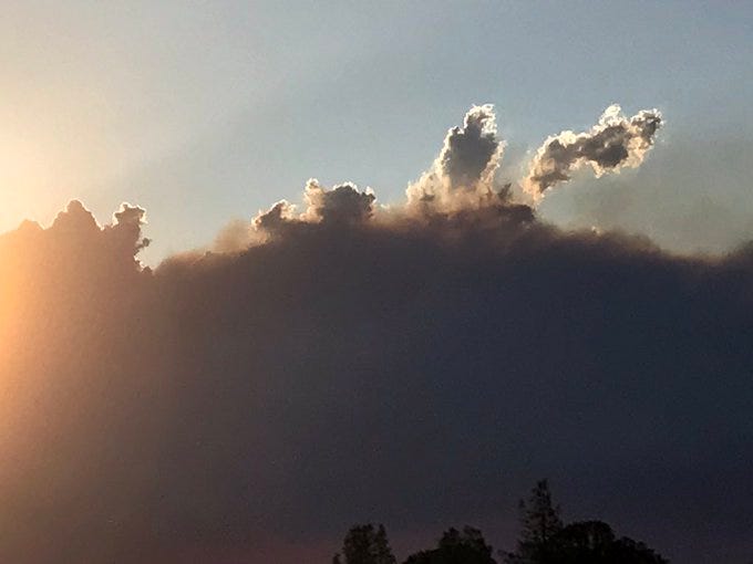 Smoke from the Red Bank Fire, at sunset.