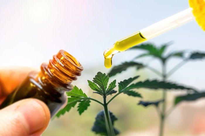 CBD oil and marijuana leaves