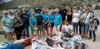 Beach cleanup nets pile of plastic 