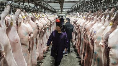 China Pork Virus