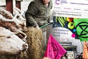 vegan diet damaging campaigns warning uk farmers george dunn