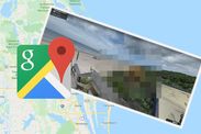 Google maps street view bizarre mysterious human head plant viral reddit