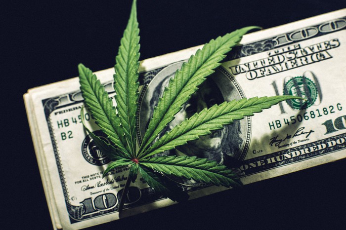 A cannabis leaf laid atop a stack of one hundred dollar bills.