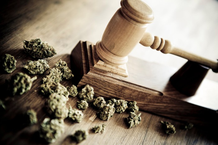 A judge's gavel next to a handful of dried cannabis buds.