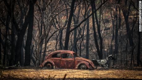 Bushfires have destroyed huge areas of Australia in recent months.