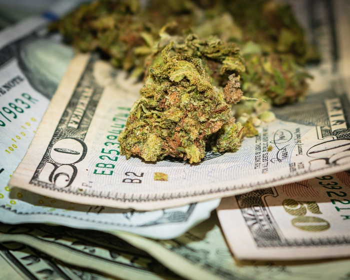 Marijuana Stock Earnings: A Comprehensive Look at First-Quarter Results – The Motley Fool