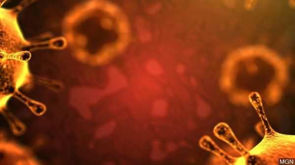 Coronavirus could infect East Tennessee economy – WVLT.TV